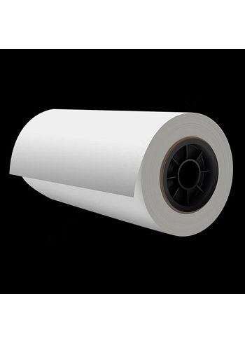 Rotolo film in poliestere per stampa DTF 30 CM x 100 MT