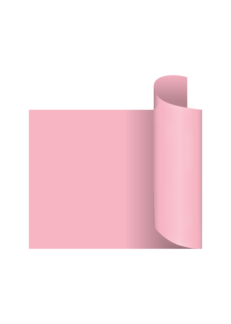 ROSA ROSA