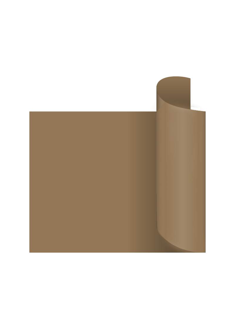 BRONZO BRONZO