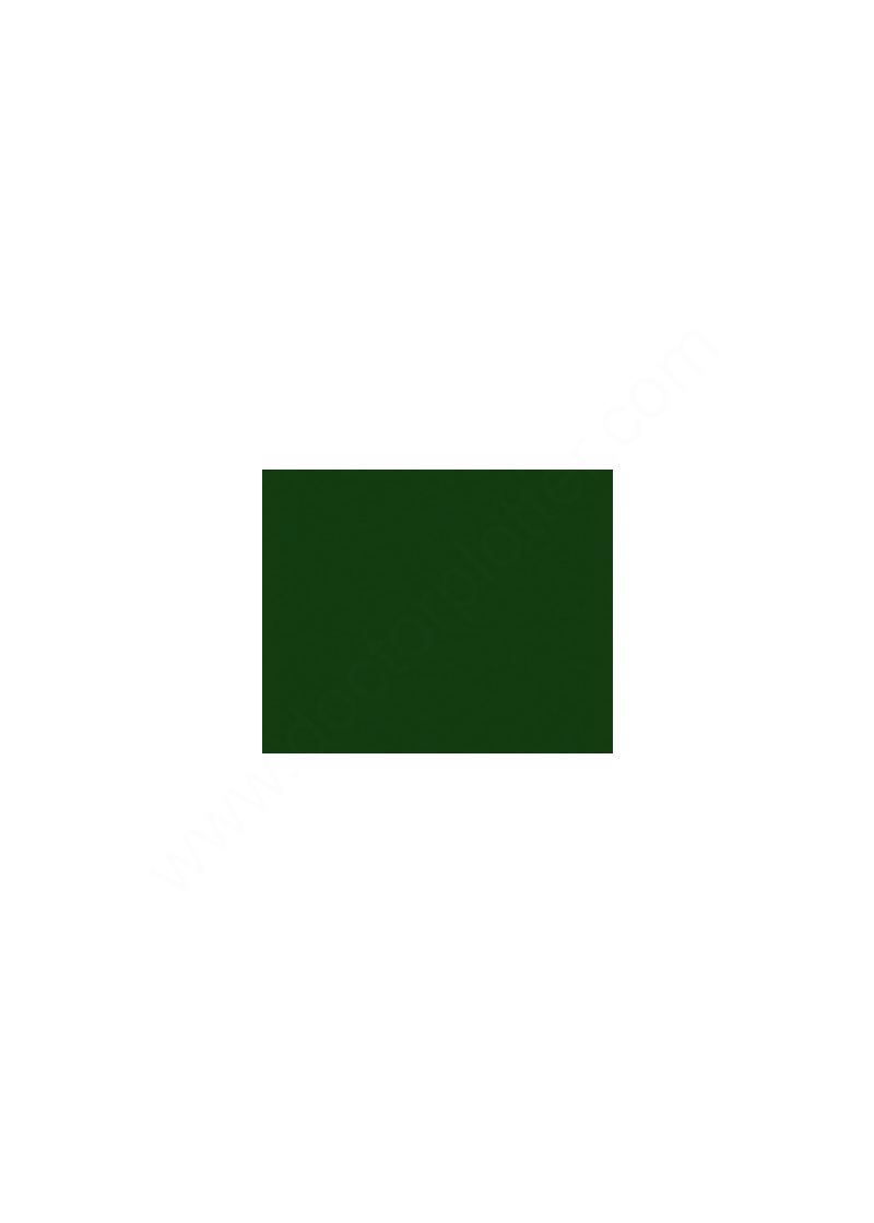 Verde Scuro RAL 6005 Lucido 70 my Verde Scuro RAL 6005 Lucido 70 my