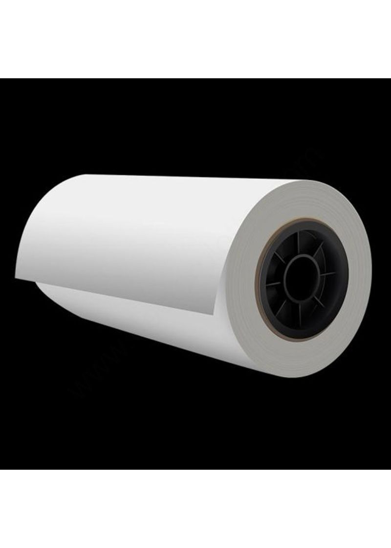 Rotolo film in poliestere per stampa DTF 30 CM x 100 MT Rotolo film in poliestere per stampa DTF 30 CM x 100 MT